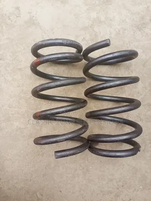 Toyota Ipsum Back Coilspring