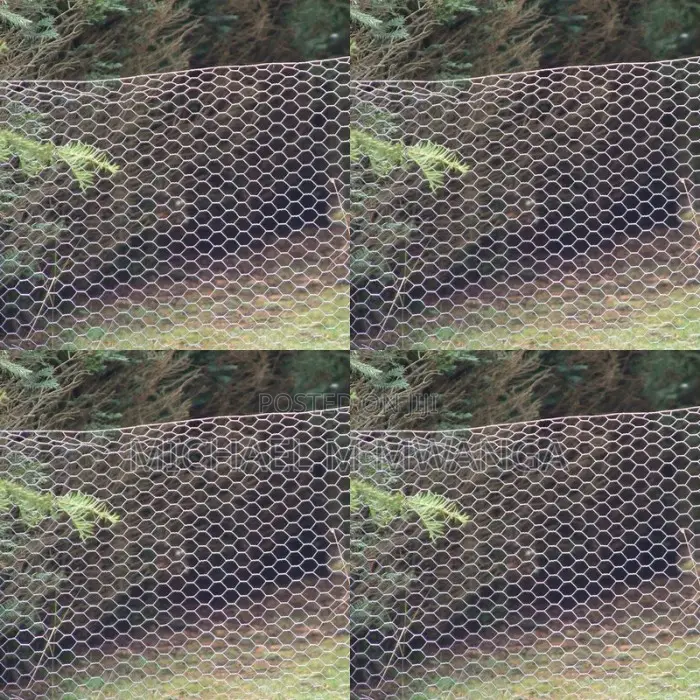 Garden Fencing Chicken Wire Mesh (3ft X 30m)