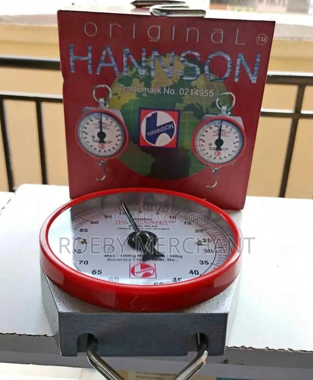 Hanging Weighing Scale/Hanson Scale 100kgs - main view