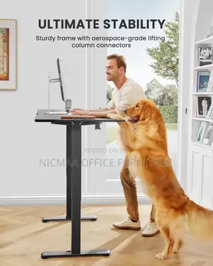 Office Desk: Modern Executive Height-Adjustable Desk Sleek Finish