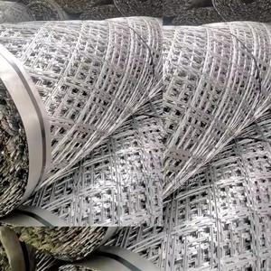 Anti-Crimb Design Welded Razor Mesh - main view