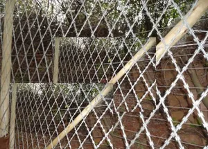 Strong, Durable 5ft High Welded Razor Mesh