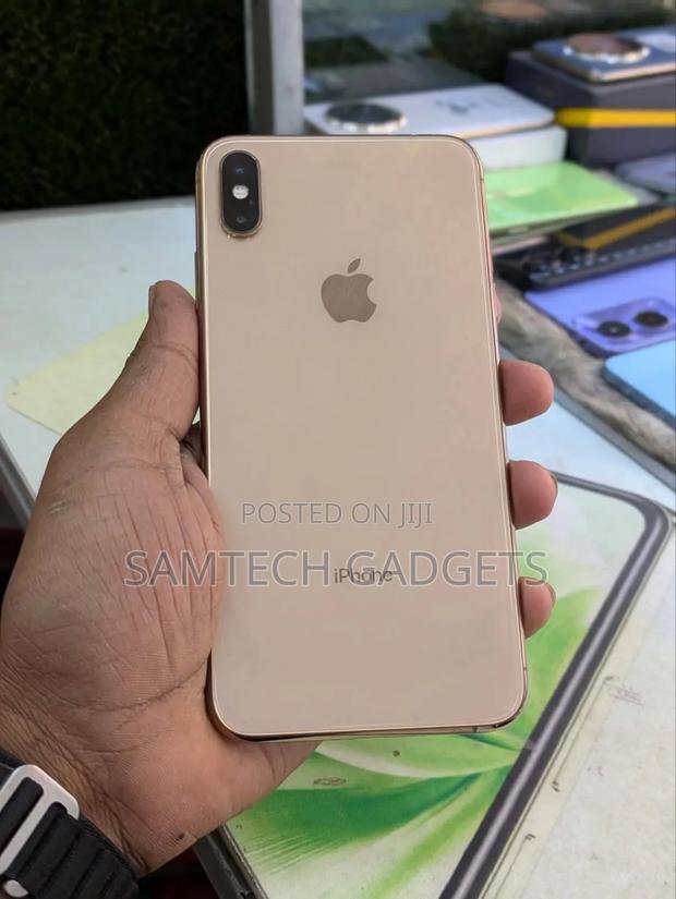 Apple iPhone XS Max 256 GB Rose Gold - main view