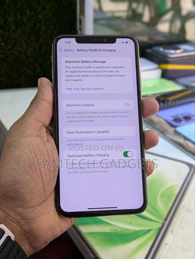 Apple iPhone XS Max 256 GB Rose Gold - thumbnail 4