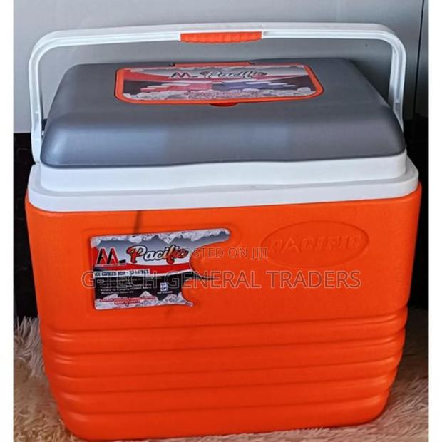 Pacific Cooler Box Multicolored 10l