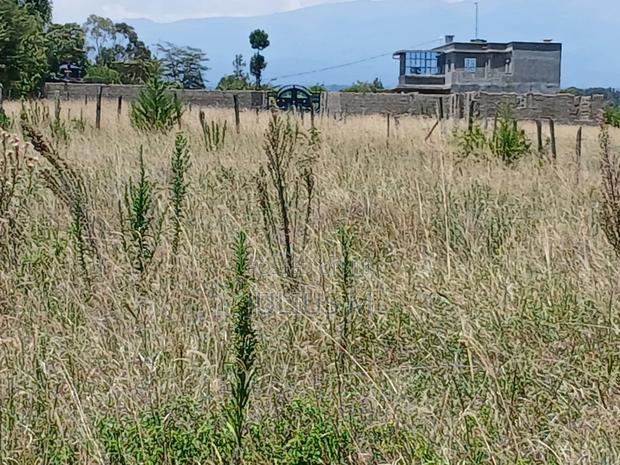 2 ( Two ) 50 * 100 Corner Plots for Sale Near Toll Nanyuki