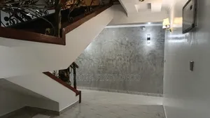 Professional Painting Services