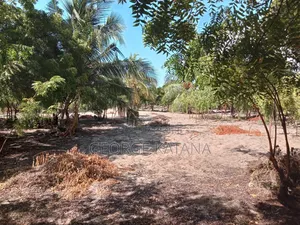 Beach Plots for Sale