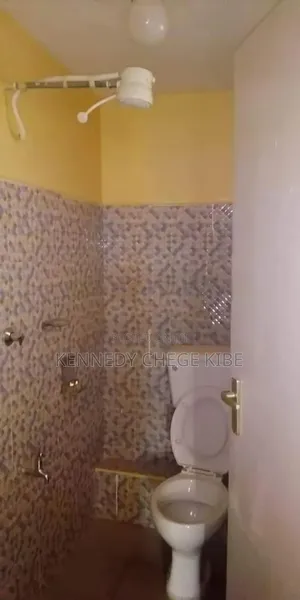 Shower Installer (Ongata Rongai)