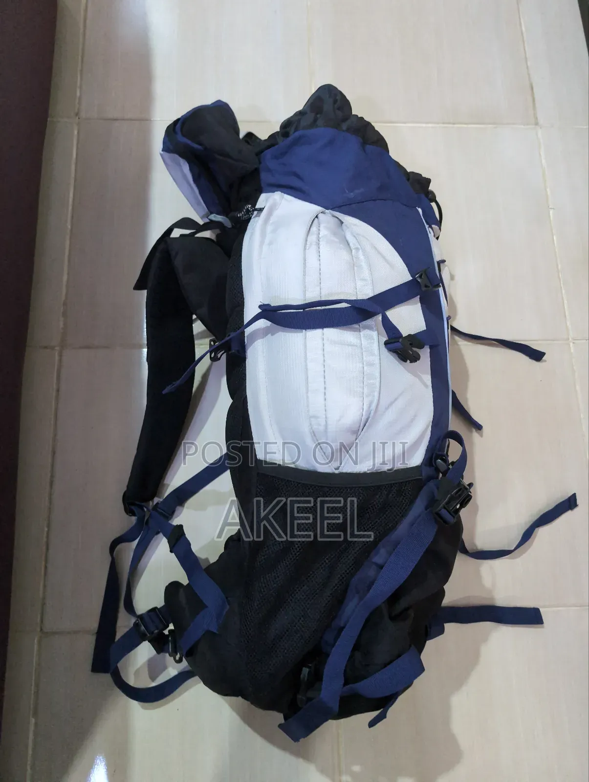 Blue and White Hiking Backpack