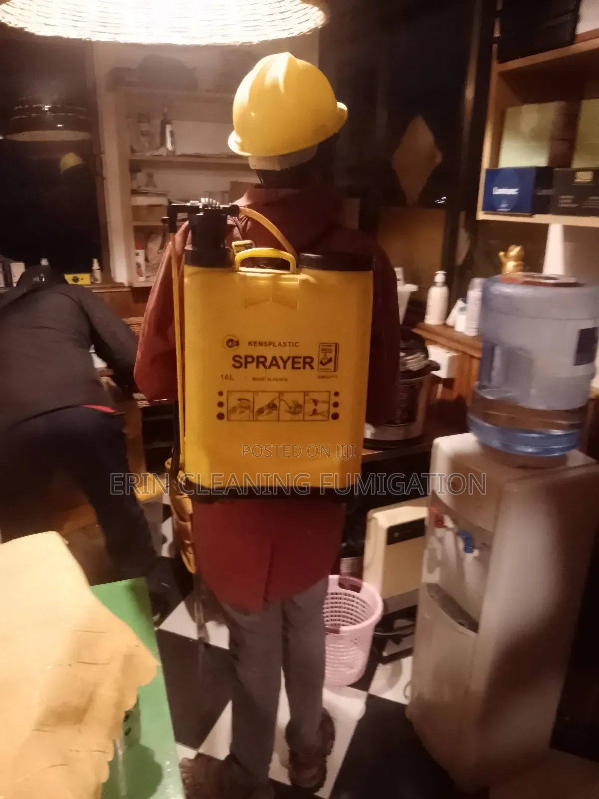 Pest in Cleaning Services