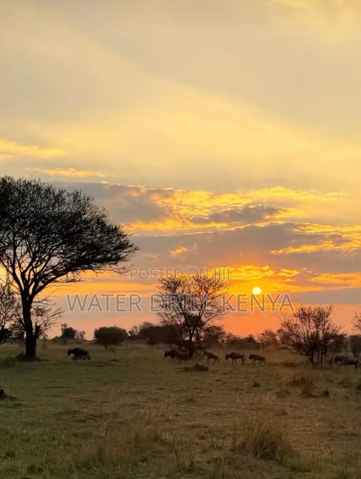 Buy Land 252 Kenya