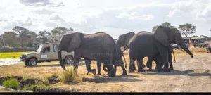 Buy Land 252 Kenya