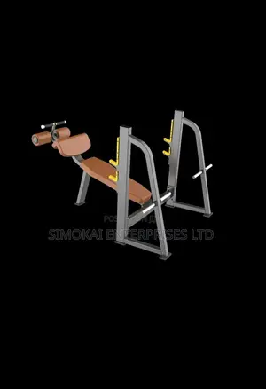Heavy Duty Commercial Decline Bench
