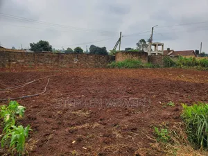 100 by 100 Plot for Sale in Nyadhuna.