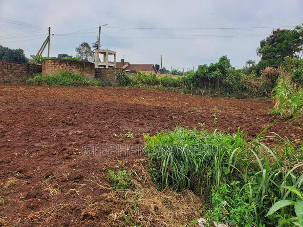 100 by 100 Plot for Sale in Nyadhuna. - thumbnail 2