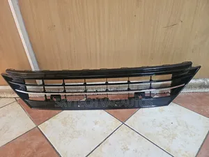 Tiguan All Space Lower Grill