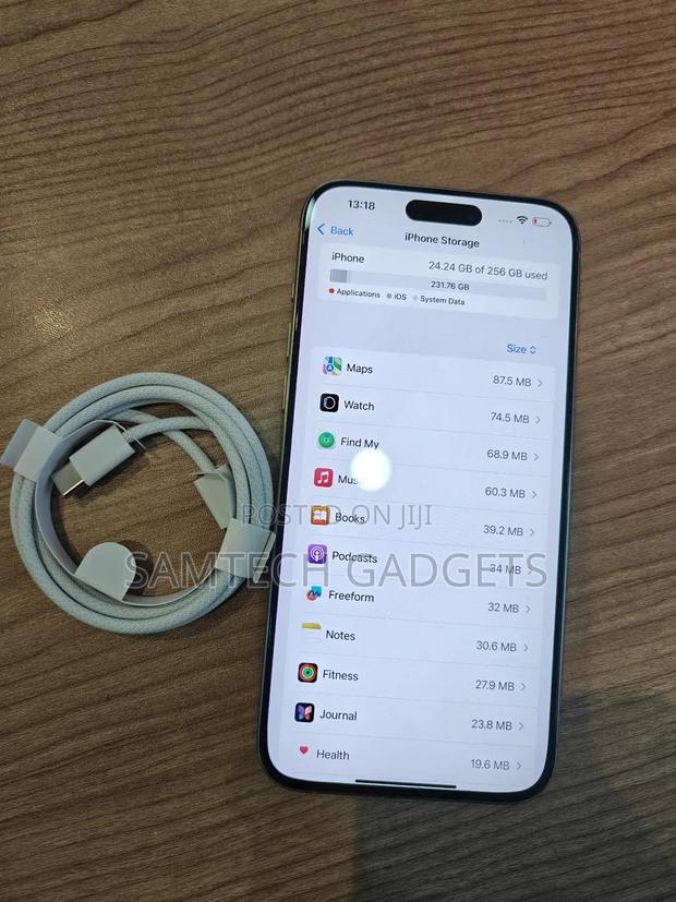 New Apple iPhone 15 Pro Max 256 GB Silver - main view