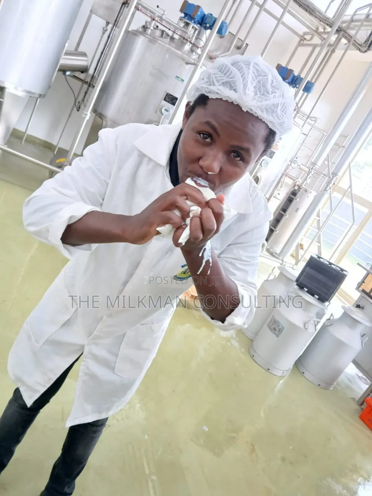 Dairy Processing Yoghurt, Mala Cheese Consultant