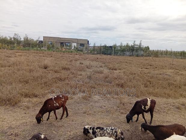 1/4 Acre for Sale in Kisaju