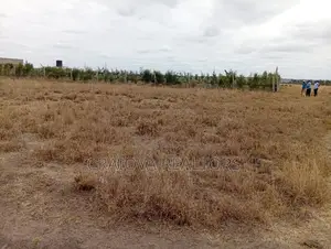 1/4 Acre for Sale in Kisaju