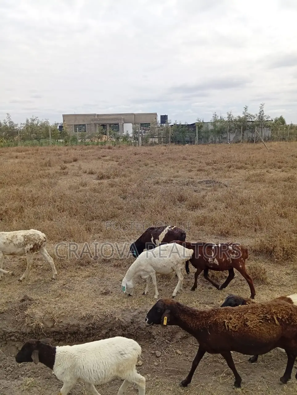 1/4 Acre for Sale in Kisaju