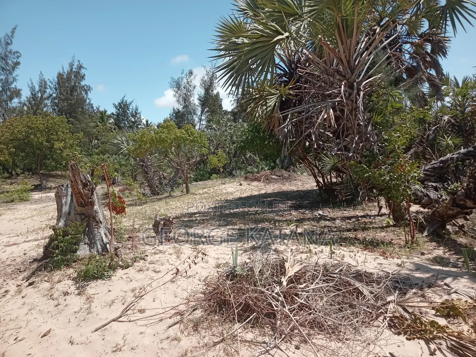 Beach Plots for Sale