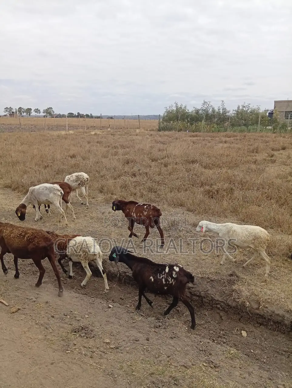 0.25 Acre Piece of Land in Kisaju