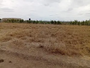 0.25 Acre Piece of Land in Kisaju