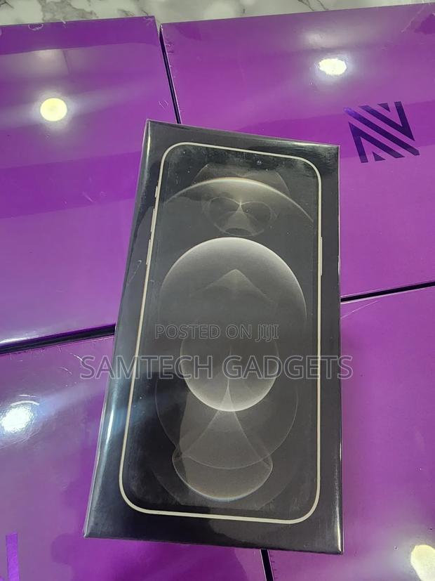 New Apple iPhone 12 Pro Max 256 GB Gold - main view