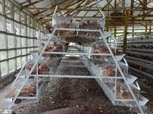 Chicken Cages for Poultry
