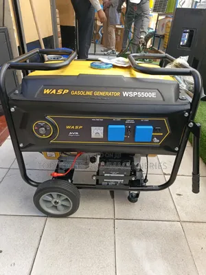 6.5kva Wasp Key Start Gasoline Generator(Avr) With Wheels Trolley