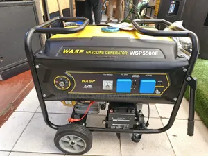 6.5kva Wasp Key Start Gasoline Generator(Avr) With Wheels Trolley