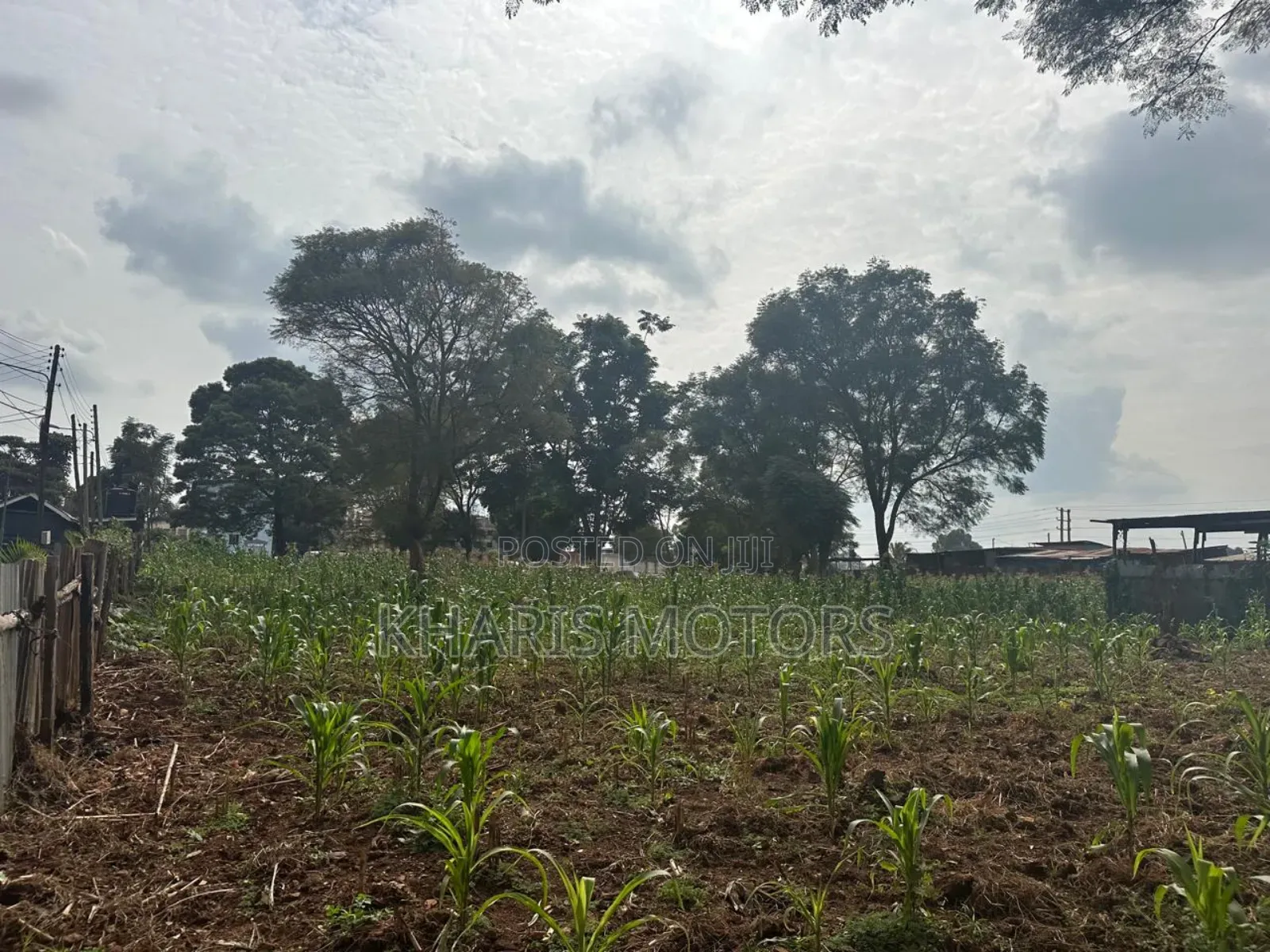 Land for Sale or Jv Allowed