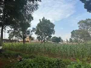 Land for Sale or Jv Allowed