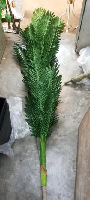 Palm Long Tree in Store Custom Made - thumbnail 2