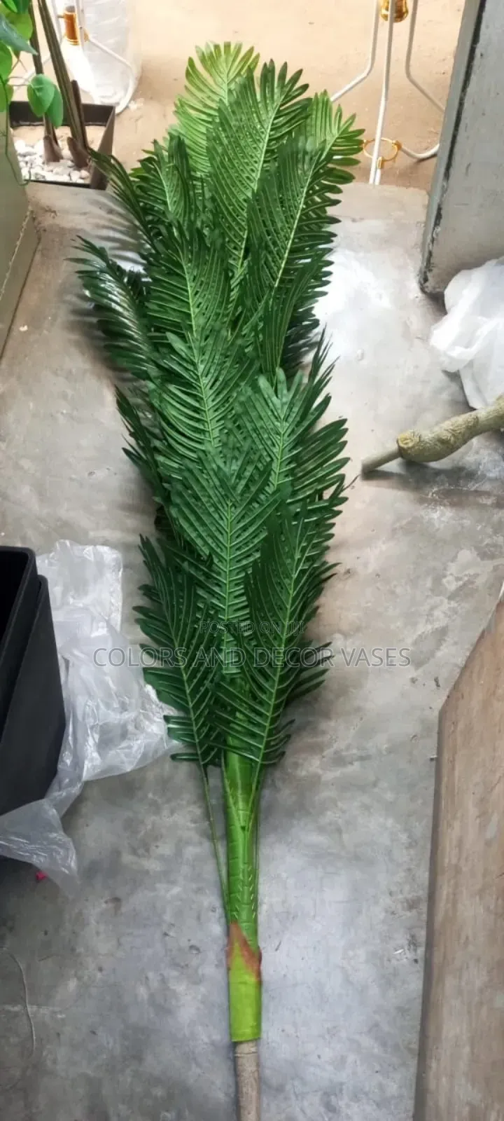 Palm Long Tree in Store Custom Made