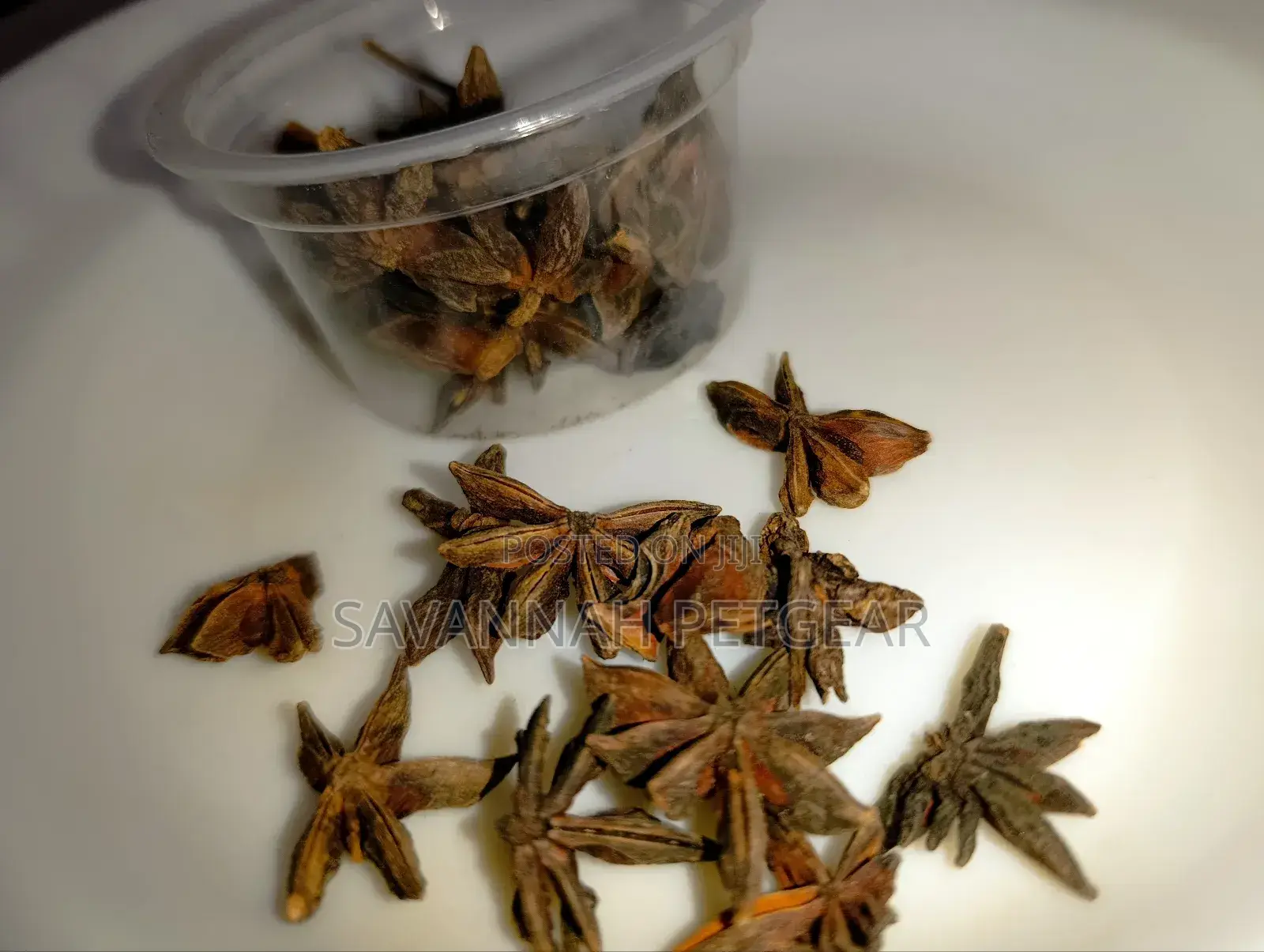 Star Aniseed Premium Grade
