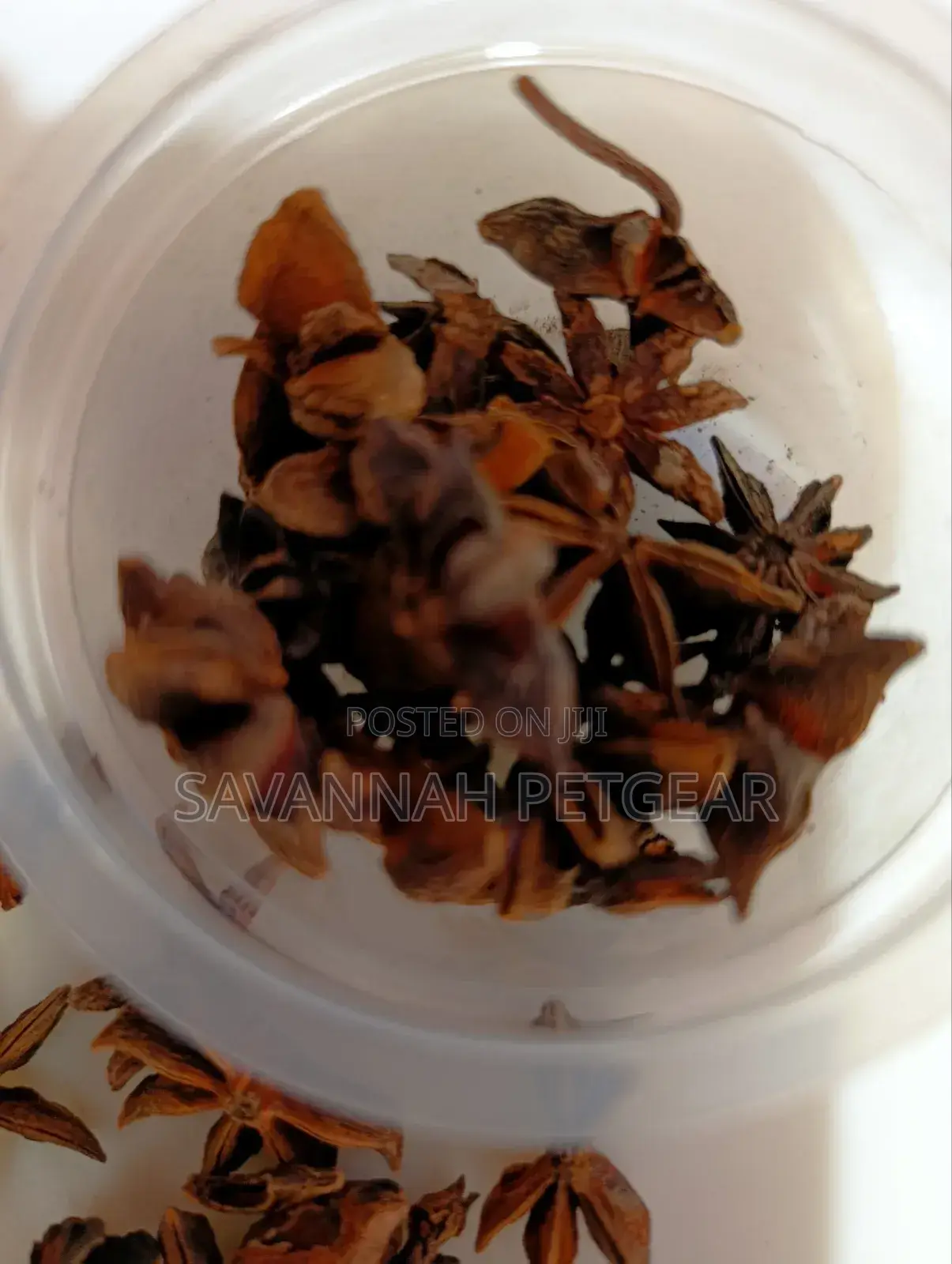 Star Aniseed Premium Grade