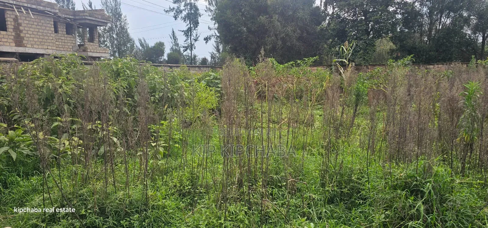 1⁄2 Acre Plot for Sale in Elgonview Eldoret
