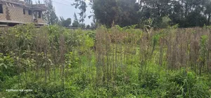 1⁄2 Acre Plot for Sale in Elgonview Eldoret