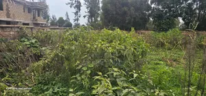 1⁄2 Acre Plot for Sale in Elgonview Eldoret