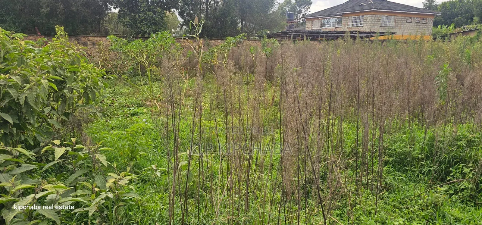1⁄2 Acre Plot for Sale in Elgonview Eldoret