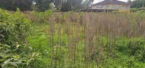 1⁄2 Acre Plot for Sale in Elgonview Eldoret