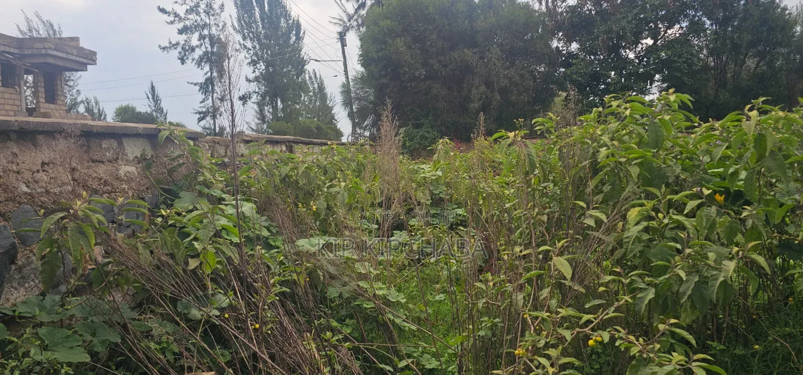 1⁄2 Acre Plot for Sale in Elgonview Eldoret