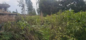 1⁄2 Acre Plot for Sale in Elgonview Eldoret
