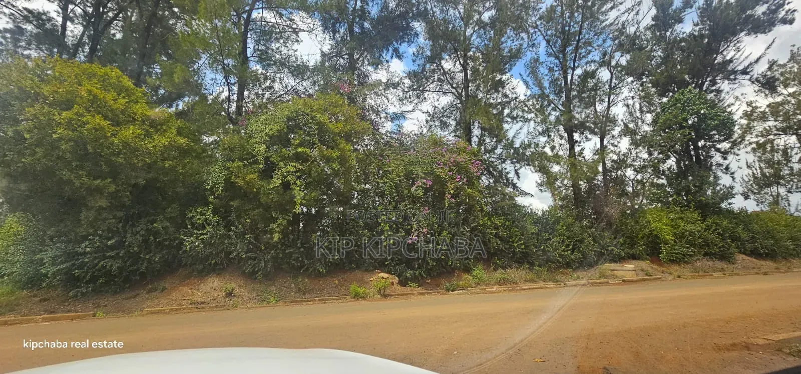 1⁄2 Acre Plot for Sale in Elgonview Eldoret