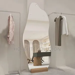 Dolphin Shaped Acrylic Mirror