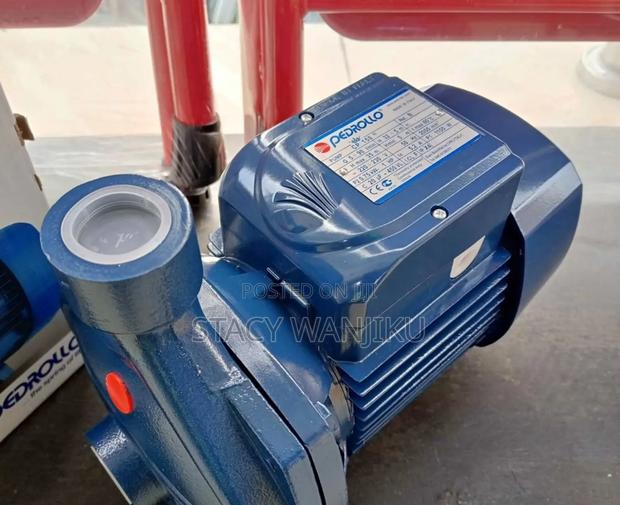 1hp Pedrollo Water Pump Machine/ Electric Pedrollo Water Pump