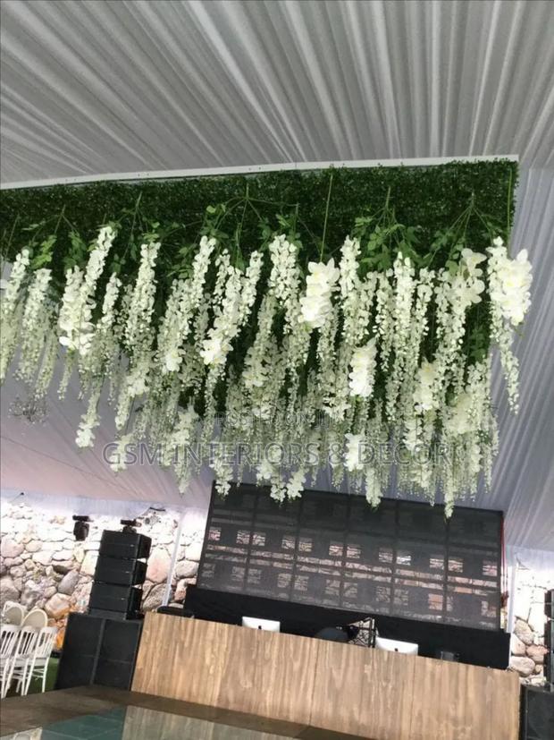 Hanging Flowers in White Wisteria